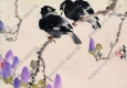 張書旗國(guó)畫 鸜鵒紫蕊圖 高清大圖下載