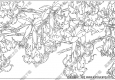 曼陀羅白描線稿18高清圖片下載