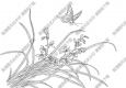 蘭花白描線稿54高清圖片下載