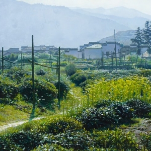 莫大風(fēng)油畫風(fēng)景《迷失在婺源》欣賞