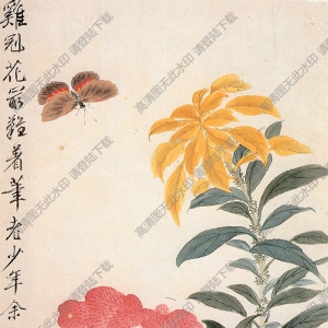清 王武《花卉》-8國(guó)畫高清大圖下載