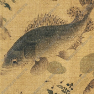 北宋 劉寀《群魚(yú)戲瓣圖》國(guó)畫(huà)高清大圖下載