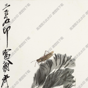 齊白石作品_螞蚱與白菜_高清大圖下載