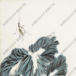 齊白石作品_螳螂與白菜_高清大圖下載