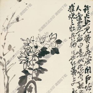 吳昌碩 國(guó)畫《墨菊博古2》高清大圖下載