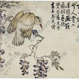 清 李鱓《花鳥冊(cè)十二開》-4 國(guó)畫高清大圖下載