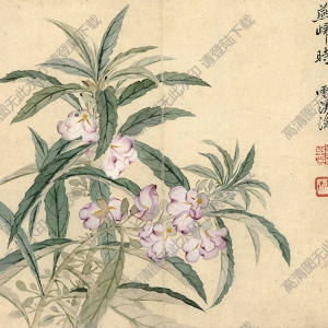 清 惲南田《風(fēng)仙花》國(guó)畫(huà)高清大圖下載