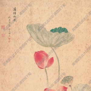 惲冰_蒲塘秋艷圖_超高清_百度云網(wǎng)盤下載