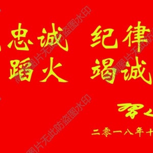 對黨忠誠紀(jì)律嚴(yán)明 習(xí)總消防十六字超高清圖下載