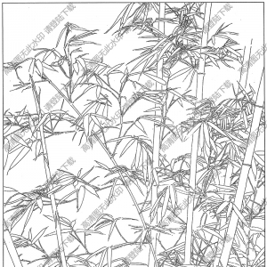 竹子白描線(xiàn)稿16高清圖片下載