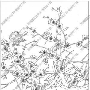 梅花線描畫底稿10高清大圖下載