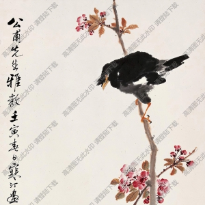 江寒汀作品 花鳥畫17 高清大圖下載