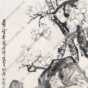 王震王一亭國(guó)畫作品 玉蘭牡丹 高清下載