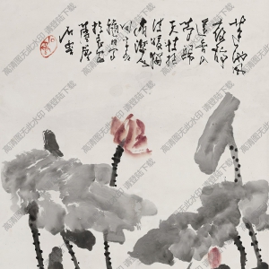 石魯國(guó)畫(huà) 荷花 高清大圖下載