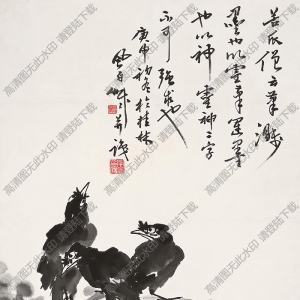 蔣風(fēng)白國(guó)畫 花鳥圖2 高清大圖下載