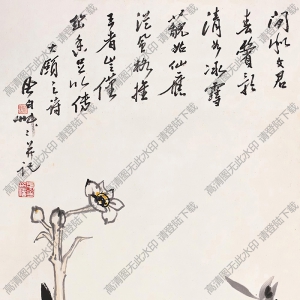 蔣風(fēng)白國(guó)畫作品 玉蘭花 高清下載