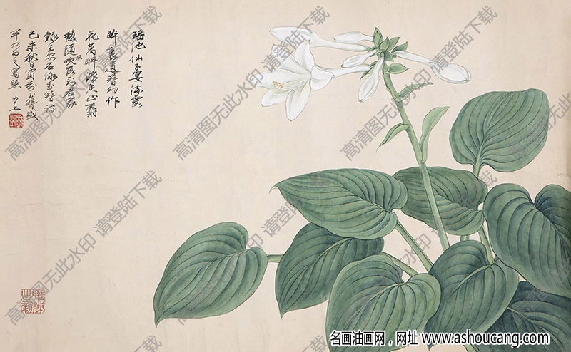劉力上國(guó)畫作品 玉簪花 高清下載