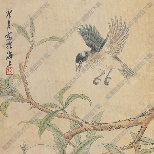 陶冷月國(guó)畫(huà) 花鳥(niǎo)之二 高清大圖下載