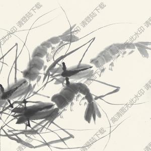 齊白石國(guó)畫作品_蝦_高清下載