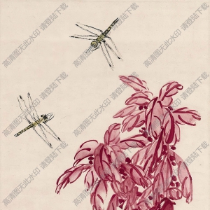 齊白石作品_老來紅上雙蜻蜓_八十一歲時作_高清大圖下載