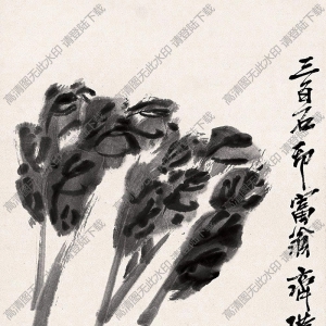 齊白石作品_白菜_蟋蟀_高清大圖下載
