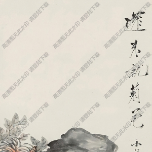 虛谷作品 貓菊?qǐng)D2 高清大圖下載