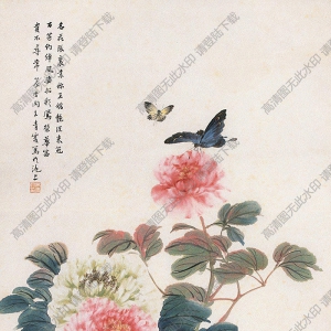 吳青霞國(guó)畫(huà) 牡丹 高清大圖下載