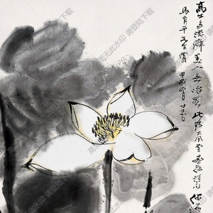 何海霞國(guó)畫 荷 高清大圖下載