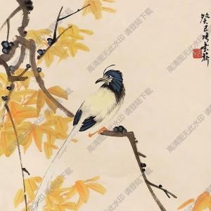 張書(shū)旗國(guó)畫(huà) 花鳥(niǎo) (9) 高清大圖下載