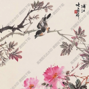 張書(shū)旗國(guó)畫(huà) 花鳥(niǎo) (11) 高清大圖下載