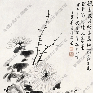 吳華源國(guó)畫(huà) 菊石圖 高清大圖下載