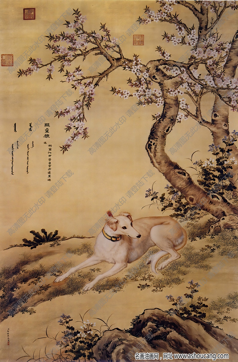 郎世寧 十駿犬圖1-晱星狼 高清名畫(huà)下載