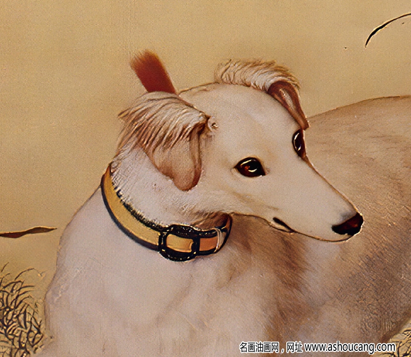 郎世寧 十駿犬圖1-晱星狼 高清名畫(huà)下載