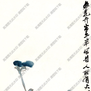 齊白石國(guó)畫(huà)_蝴蝶蘭花圖_畫(huà)花卉半工半寫(xiě)意_高清大圖下載