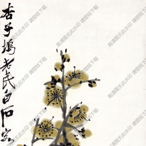齊白石國(guó)畫(huà)_梅花圖軸_杏子塢老民白石客京華_高清大圖下載