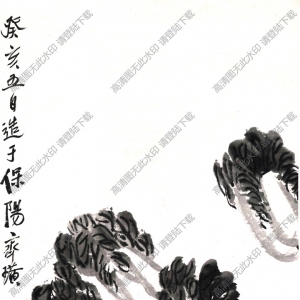齊白石國(guó)畫(huà)_白菜_癸亥五月造于保陽(yáng)_高清大圖下載