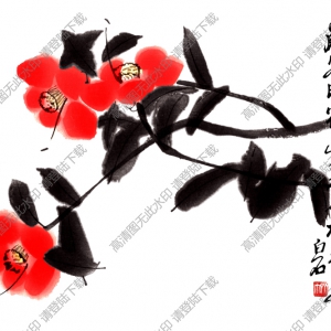齊白石國(guó)畫(huà)_山茶花_歲寒時(shí)節(jié)_此花亦梅花之友_高清大圖下載