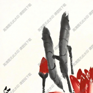 齊白石_荷花圖_高清大圖下載