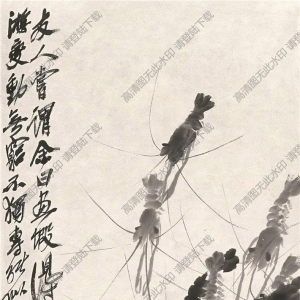 齊白石_群蝦圖_高清大圖下載