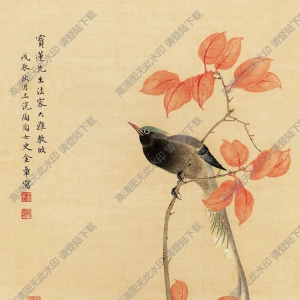 金章_金陶陶國(guó)畫_花鳥 (2)_高清大圖下載