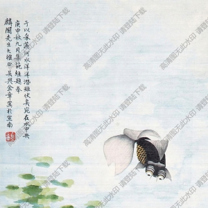 金章_金陶陶_國(guó)畫_金魚 (1)_高清大圖下載