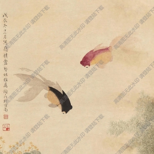 金章_金陶陶_國(guó)畫_金魚 (2)_高清大圖下載