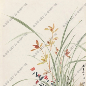 金章_金陶陶_國(guó)畫_蘭花_高清大圖下載