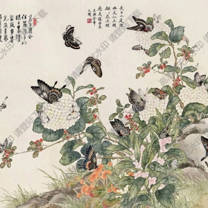 金陶陶國(guó)畫_瓊花蝴蝶_高清大圖下載