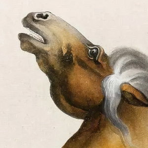 戈湘嵐國畫_黃騟圖_高清大圖下載