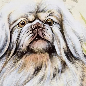 戈湘嵐國畫_菊石小犬_高清大圖下載