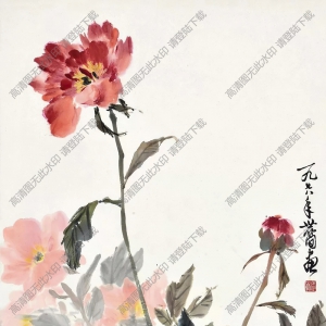 張世簡作品_花卉_高清大圖下載