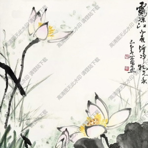 張世簡_露涼江不夜,煙凈水先秋_荷花_高清大圖下載