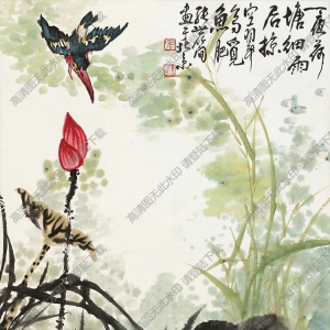 張世簡的畫_荷花翠鳥_高清大圖下載
