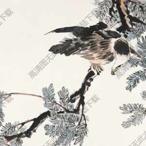 張世簡國畫_蒼鷹圖_高清大圖下載